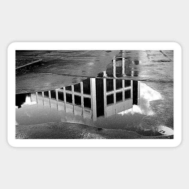 Puddle in monochrome Sticker by thadz